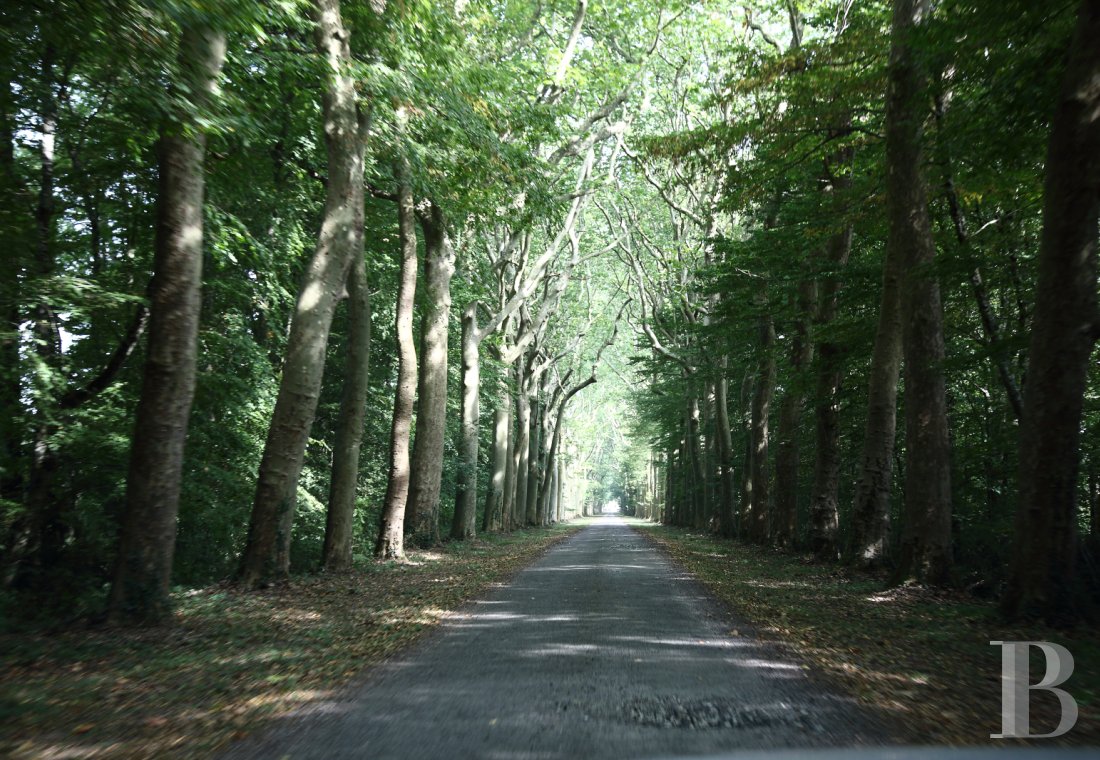 A family chateau in the heart of a vast 200-hectare estate north-west of Nantes, in the Loire-Atlantique - photo  n°2
